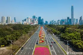 深圳中秋国庆期间外地车不限行图片