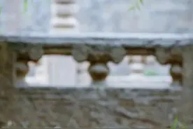 一起来找！故宫小猫向你发起躲猫猫邀请图片