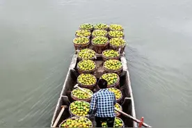 寻味乡村土特产：山海之美孕育温州丰味图片