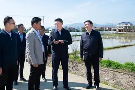 浏阳：因地制宜发展产业 切实抓好春耕备耕图片