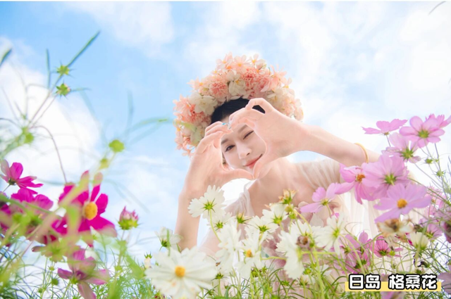 不来盐城，怎知秋色如许？