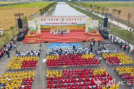 莲藕、南瓜、罗氏沼虾、柚子汁……嘉鱼农产品在中国农民丰收节咸宁主会场备受青睐图片