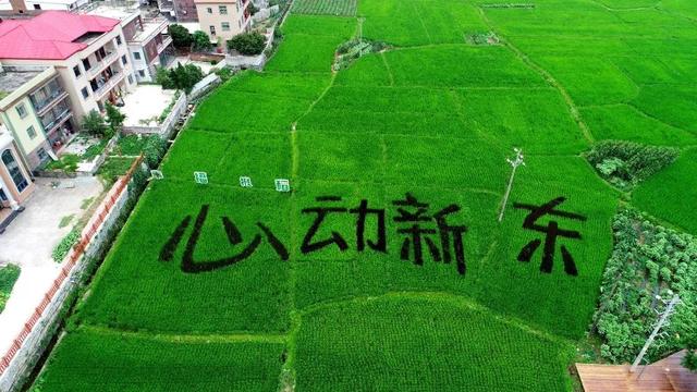 罗溪镇：创新“溪”游文旅 点燃夏日经济