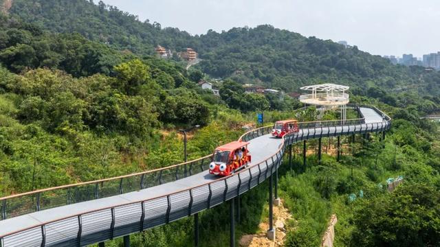 从一条莆阳福道，品读国家历史文化名城