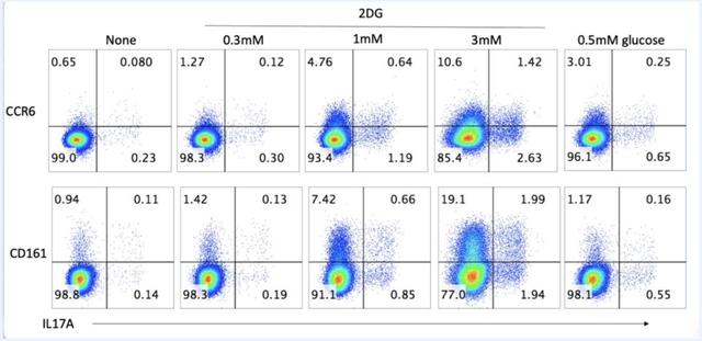 GPT-5首批重大科研突破官宣，但已救不了奥特曼的焦虑