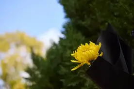 今天清明，我又想念你了……图片