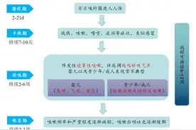 咳嗽注意！传染性极强！今年已有13人死亡图片