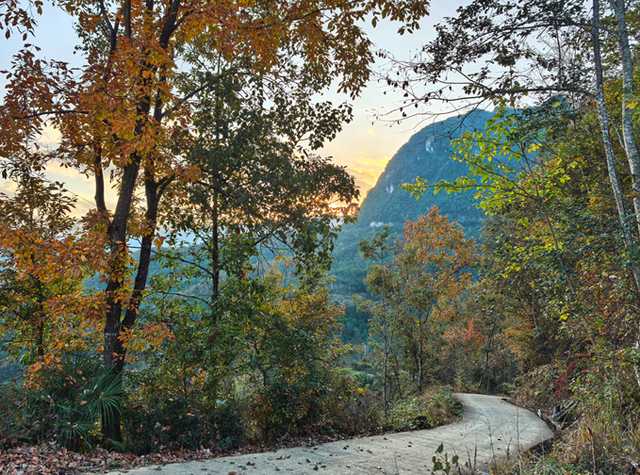 青睐绵阳 ‖ 云端公路 层林尽染！初冬驾游平武药丛山，限定版的视觉盛宴~