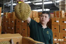 40元/公斤！榴莲正大量上市！水果批发商：价格还在降，一天卖出2000箱图片