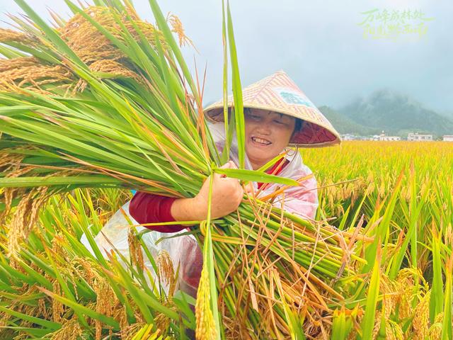 卖米的开开姐：让伴手礼盛满万峰林的泥土芳香