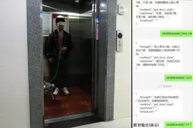 电子导盲犬能代替传统导盲犬？西工大离线具身智能研究取得新突破图片