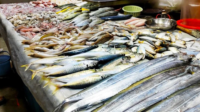 超强攻略！六大活动、六大夜市、九大海鲜市场等你探秘2025北部湾开海节！