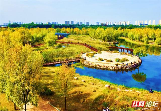 秋游时刻丨一条线路，三种景致：我拍下了郑州最诗意的秋天