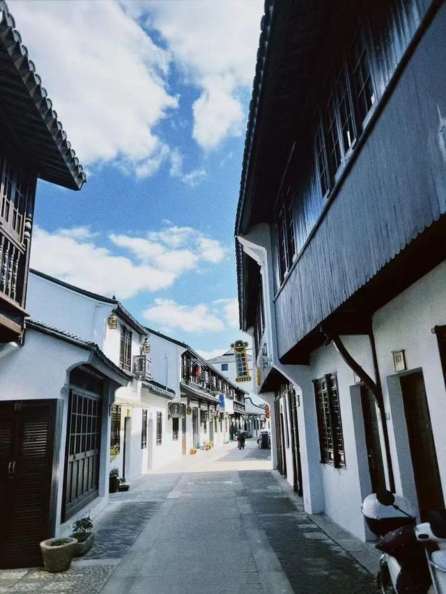 域见上海·域见奉贤｜冷江雨巷，水墨画卷里藏着的商业蓝海