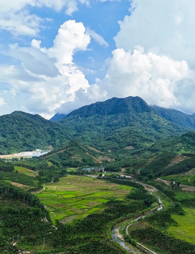 图观白沙 | 白沙山城的绿意秘境