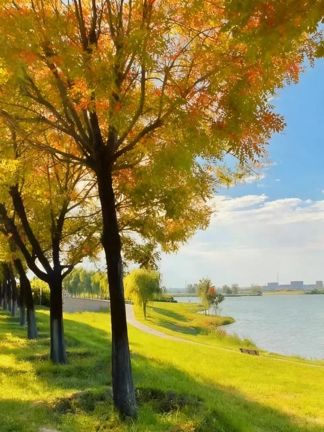 走进西安4大免费开放的宝藏公园