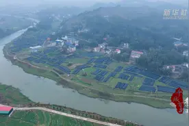 千城百县看中国｜湖南新化：羊肚菌基地采摘忙图片