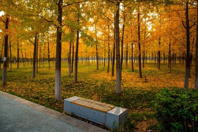 这里藏着最治愈的周末时光！