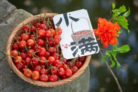 当小满遇上“521”：爱与圆满的浪漫邂逅图片