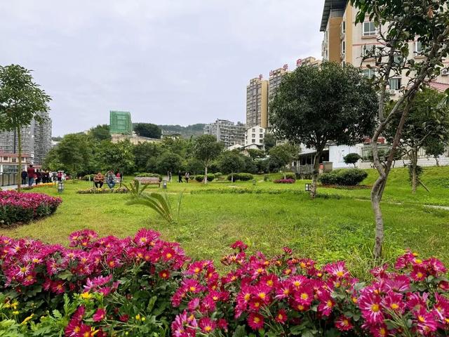 冬｜把时光染成斑斓诗行～