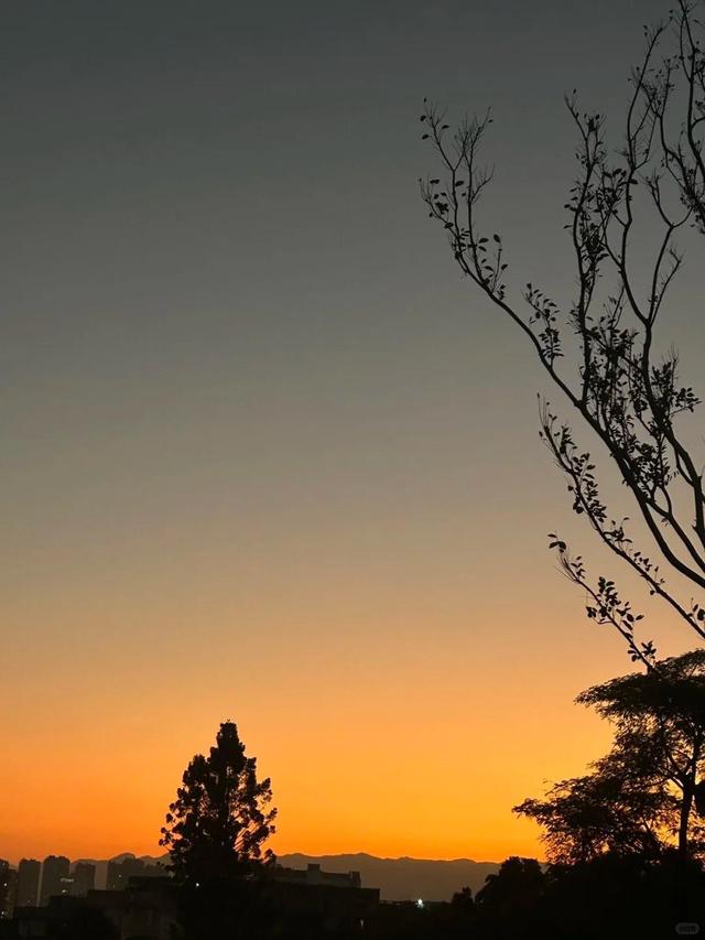 福州熊猫世界内部实景首次曝光！期待值拉满！