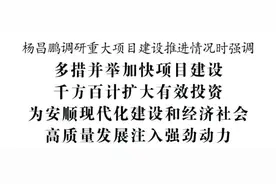 杨昌鹏到西秀区和平坝区调研重大项目建设推进情况图片