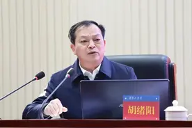卖官鬻爵，培植“白手套”，湖南衡阳市委原常委胡绪阳被公诉图片