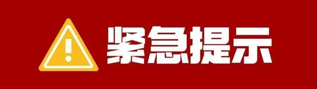 警惕！24人露营狼狈报警，网红滤镜害死人！