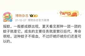 很诡异！西湖边突冒“黑烟”图片