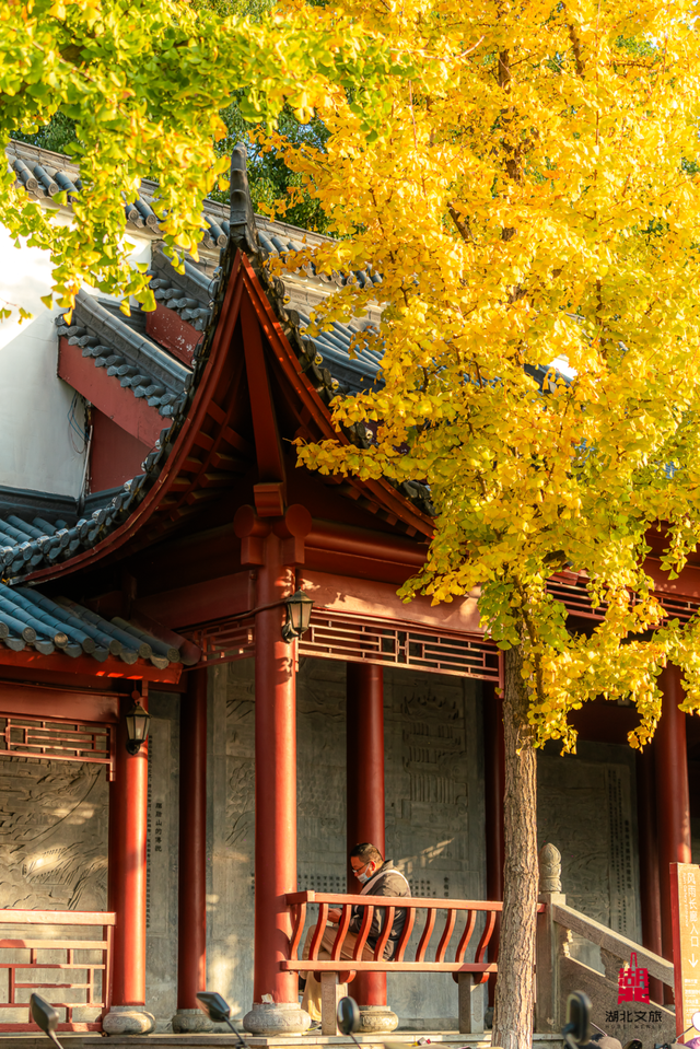 湖北这6座公园，你去过一半算我输！