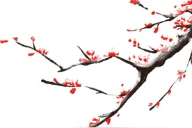 @崇明人，这份立冬养生指南请收好图片