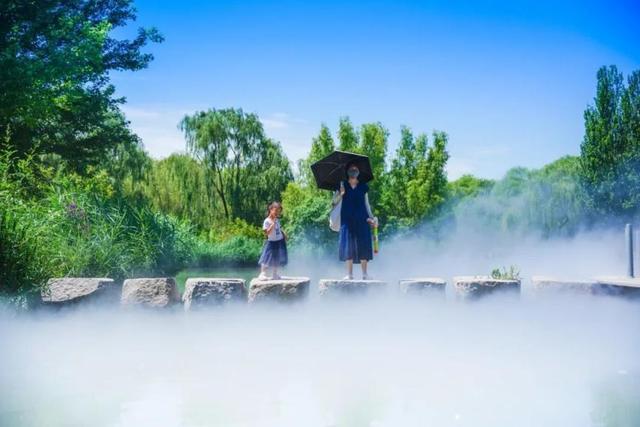 薄雾飘散！海淀这个公园，开启“仙境”模式