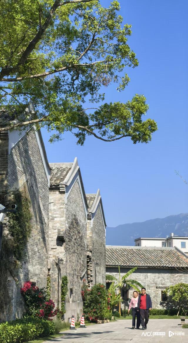 博罗县长宁镇：明代古村“穿越”新生 文旅融合唤醒百年荒村