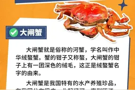 螃蟹不能与橙子、柿子同食？吃蟹辟谣指南来了！图片