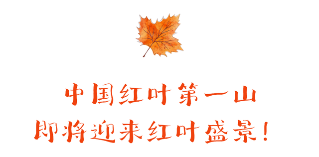 秋天旅行清单，光雾山必须有姓名！