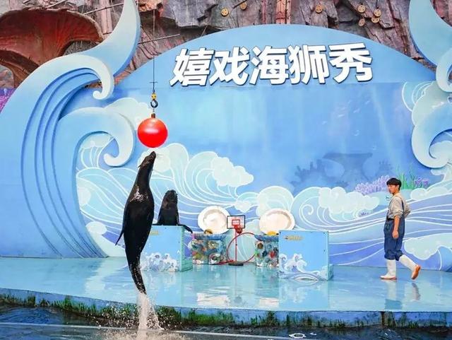嬉戏谷入园人数！创三年新高！