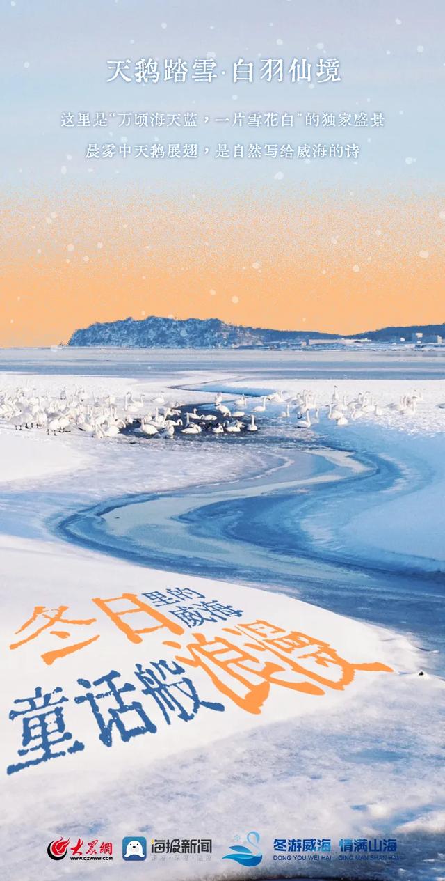 冬日的威海，是雪与海共筑的浪漫天花板！