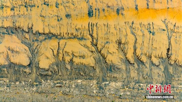 钱塘江滩壮美“潮汐树”景观 宛如水墨画