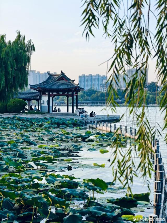 明湖美景