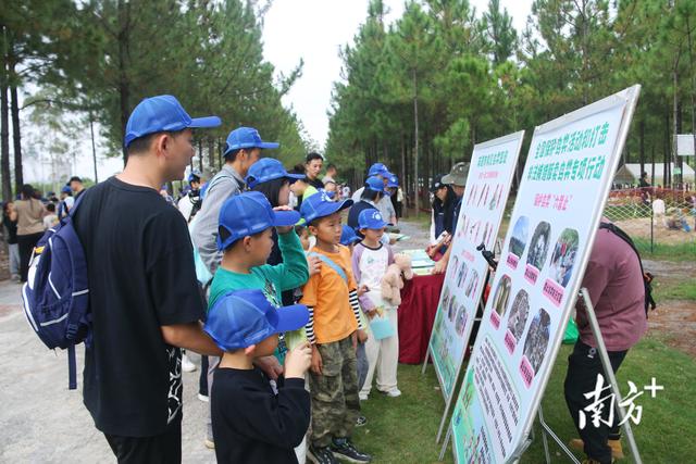在水泥厂与自然相约！英德这场森林文化周活动让市民“森”临其境