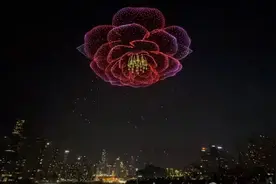 重庆和京津沪为何不同？图片