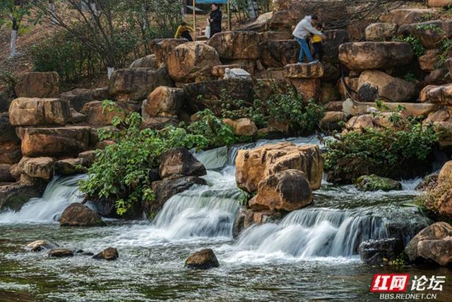 穿过林影与水光，走进长沙圭塘河的暖冬图景