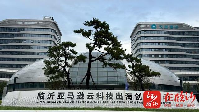 从“产品出海”到“品牌出海” 临沂借亚马逊打造北方跨境电商新高地