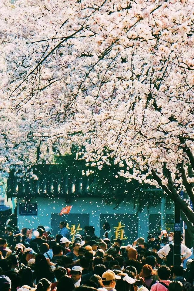 四时天工 扬州如画