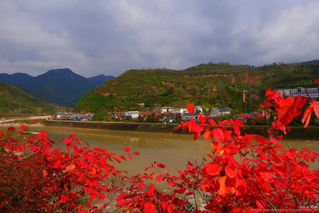 西坡镇：10月必推！最美红叶观赏地，满山红叶美得像油画！