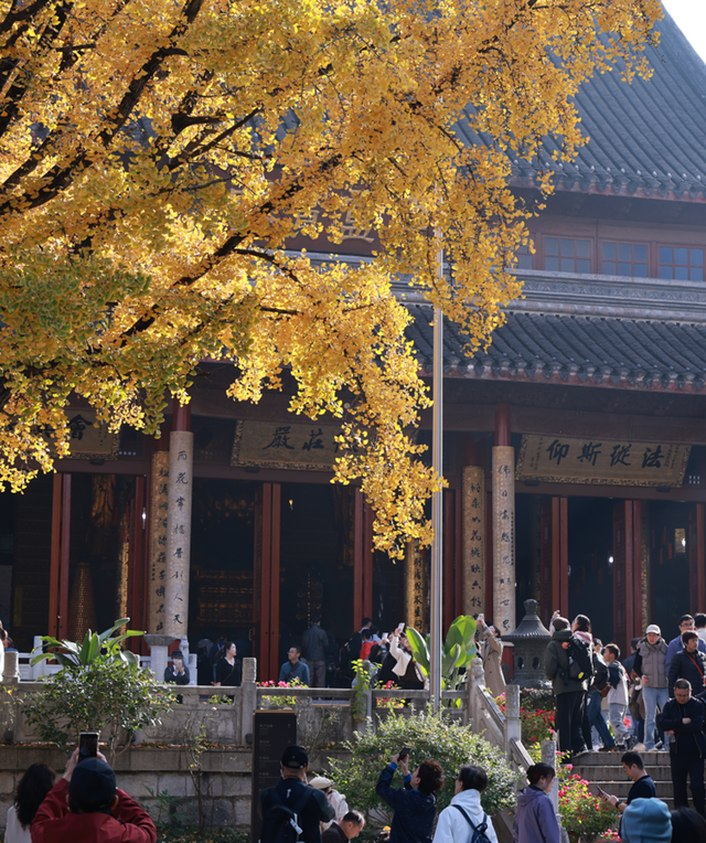 中大路 “红” 了！本周 C 位遛弯地预定！