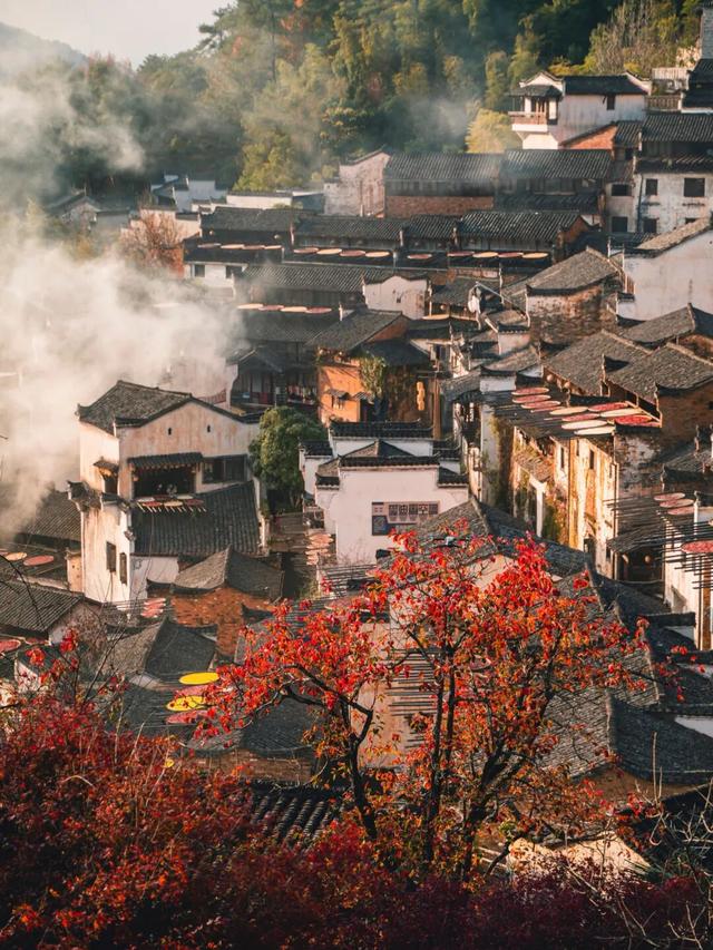 “秋假”第一站！上饶把最美的颜色，“晒”给你看