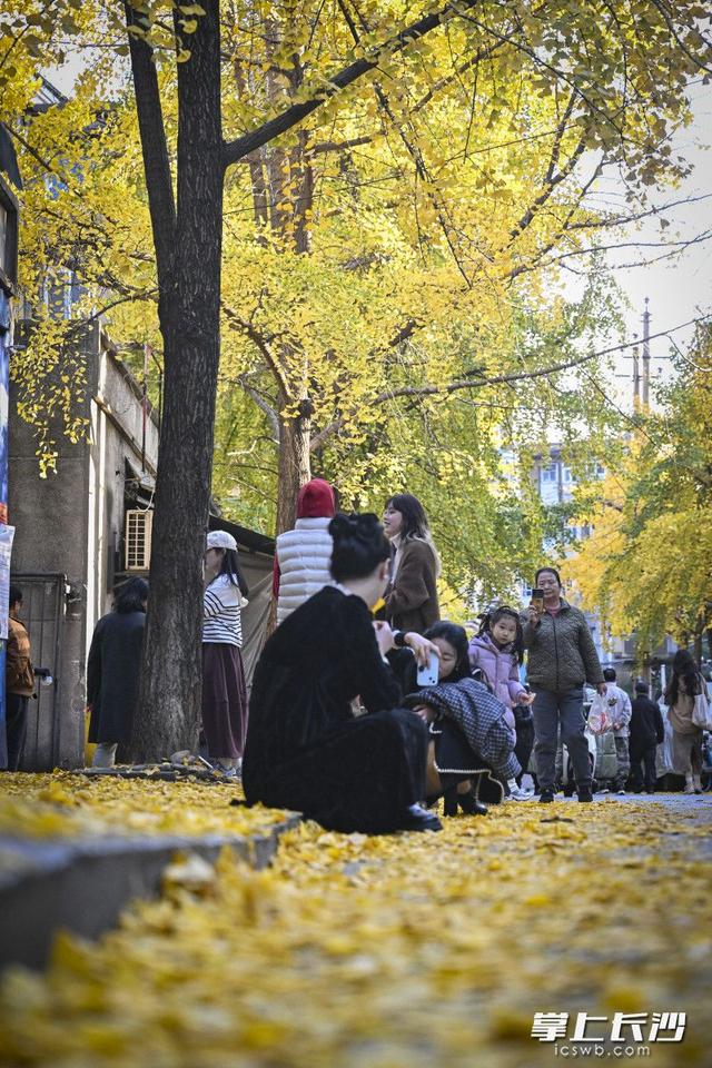 国庆巷变身“黄金走廊” 引众多游人打卡丨组图