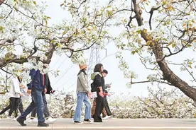 沐浴春光 畅游花海图片