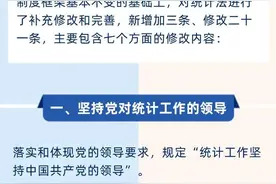 普法课堂｜一图读懂新修改《中华人民共和国统计法》图片